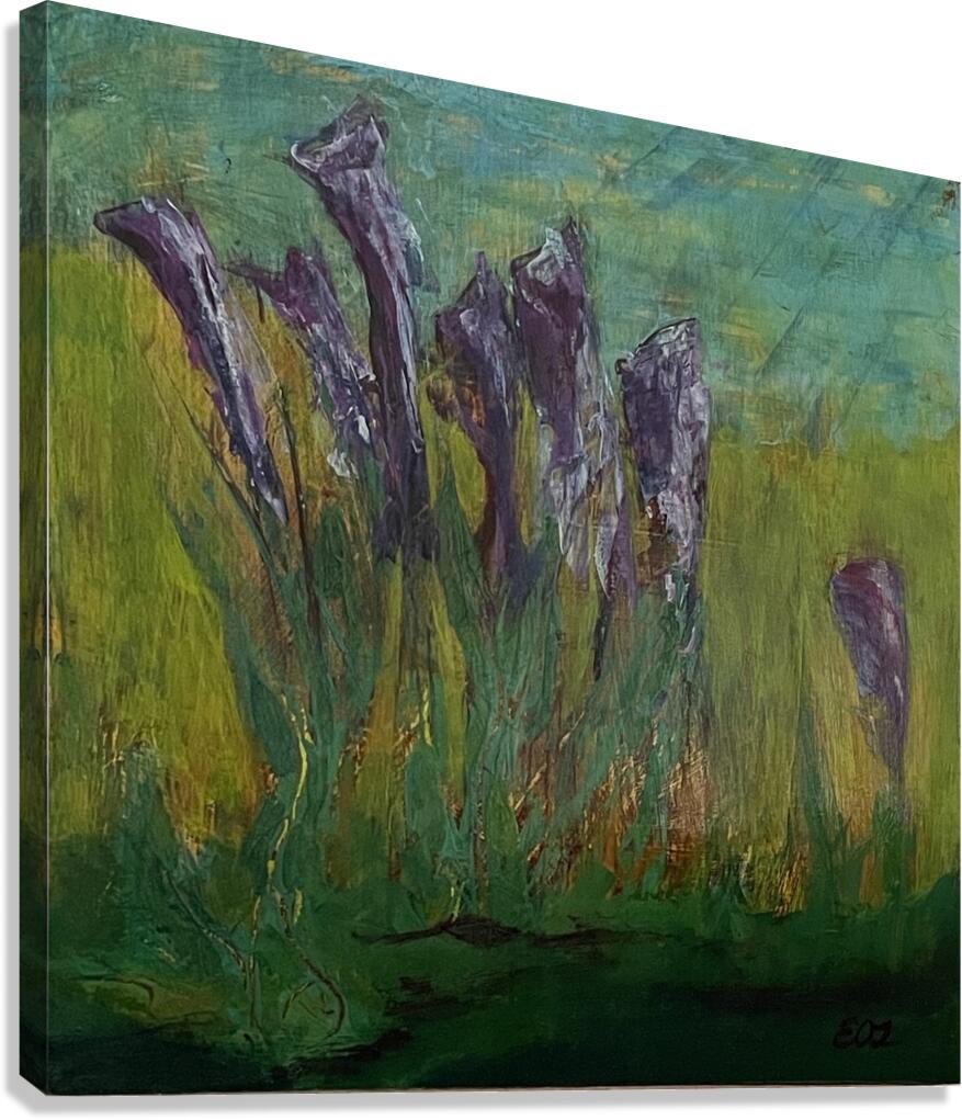 The Irises.2410