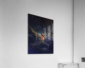 dror 30x40 FLAT Acrylic Print