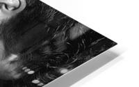 mm10 HD Metal print