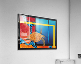 Sea turtle Acrylic Print