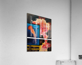 Jellyfish Acrylic Print