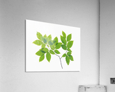 landscape_2_0707 Acrylic Print