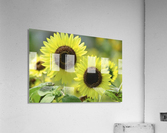 landscape_2_0976 Acrylic Print