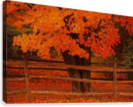 landscape_2_0394 Canvas Print
