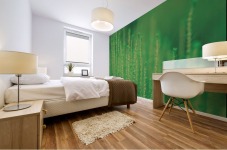 landscape_2_0167 Mural print
