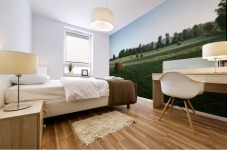 landscape_2_0336 Mural print