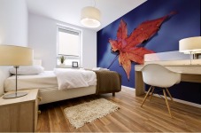 landscape_2_0369 Mural print