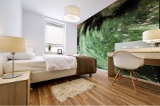 landscape_2_0451 Mural print