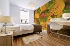 landscape_2_0669 Mural print