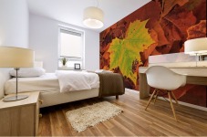 ST-Maple Mural print