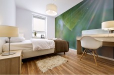 landscape_2_0969 Mural print