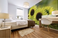 landscape_2_0976 Mural print