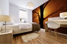 abstract sun tree Mural print