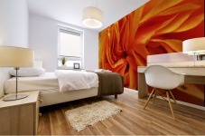 Orange Flower Petals Macro Close Up Golden Yellow Mural print
