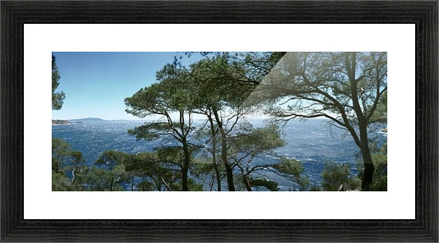 landscape_2_0321 Picture Frame print