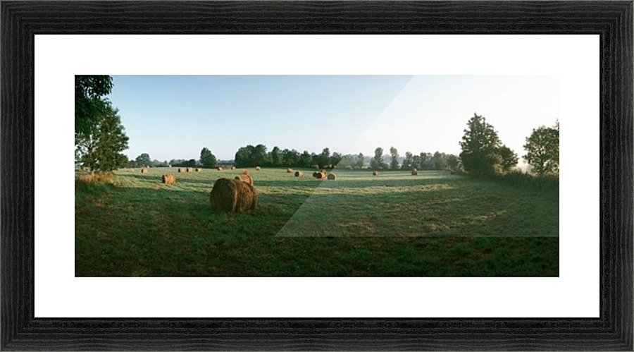 landscape_2_0336 Picture Frame print