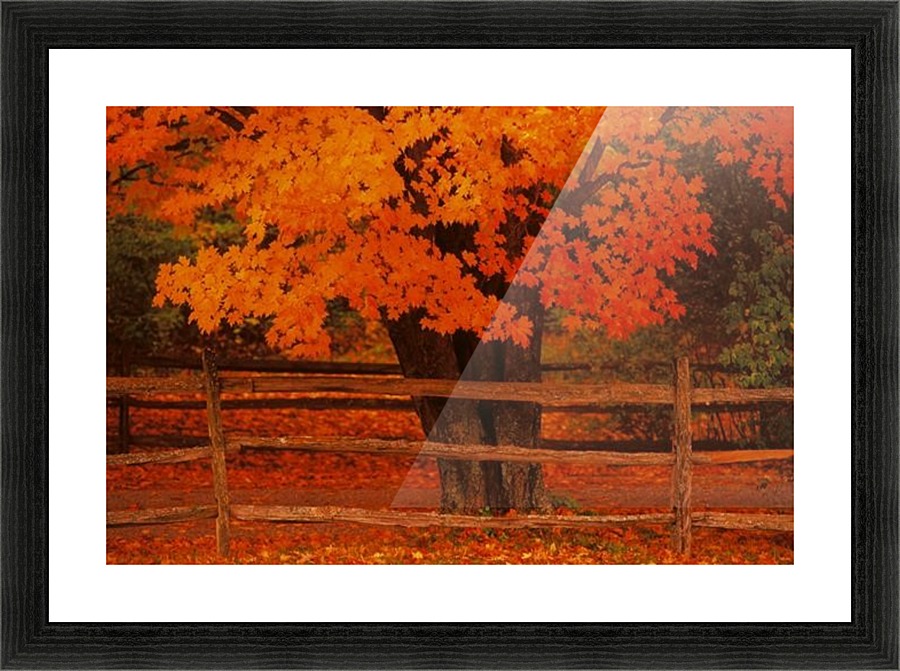 landscape_2_0394 Picture Frame print