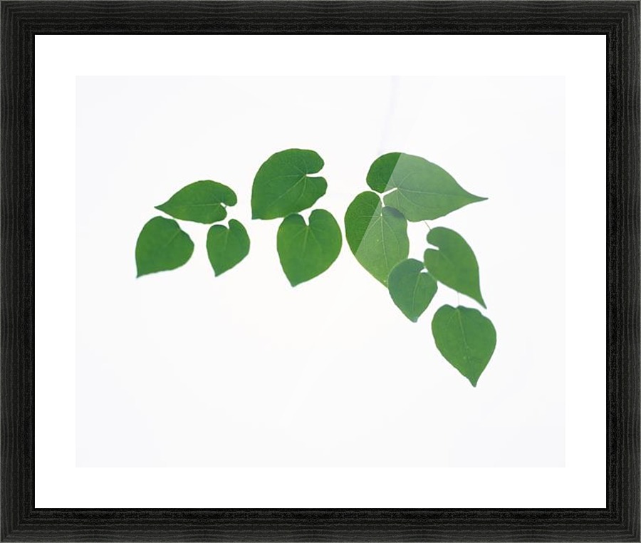 landscape_2_0704 Picture Frame print