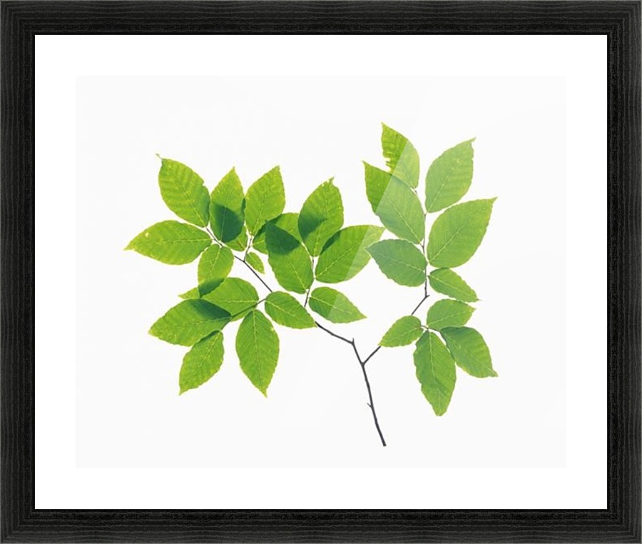 landscape_2_0707 Picture Frame print