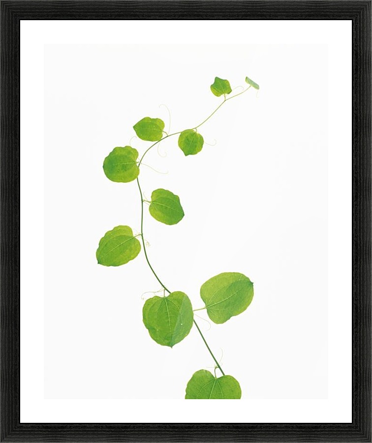 landscape_2_0710 Picture Frame print