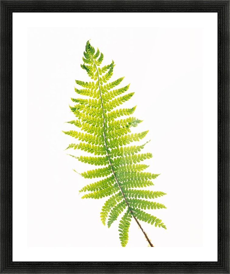 landscape_2_0716 Picture Frame print