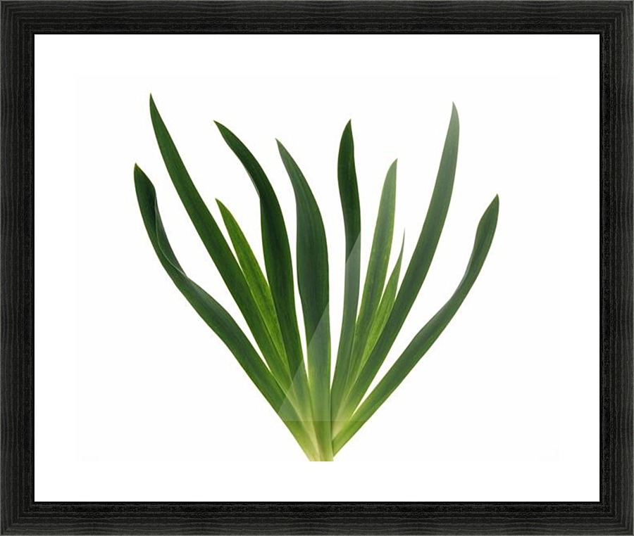 landscape_2_0727 Picture Frame print