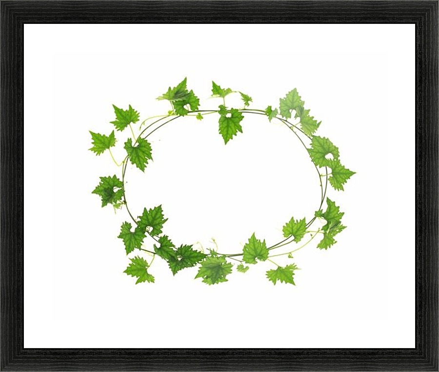 landscape_2_0744 Picture Frame print