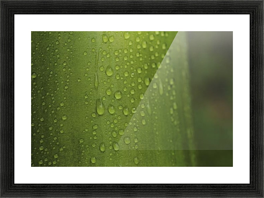 landscape_2_0985 Picture Frame print