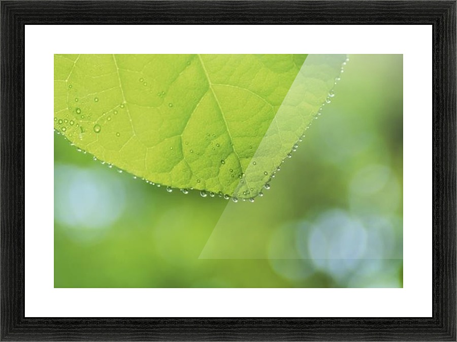 landscape_2_0988 Picture Frame print