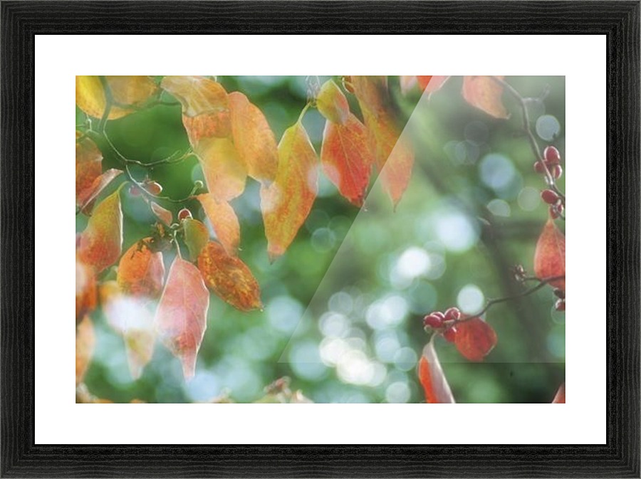 landscape_2_1026 Picture Frame print