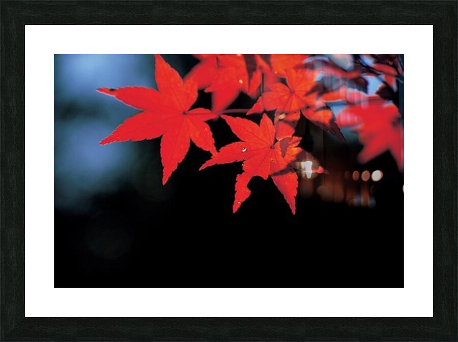 landscape_2_1134 Picture Frame print