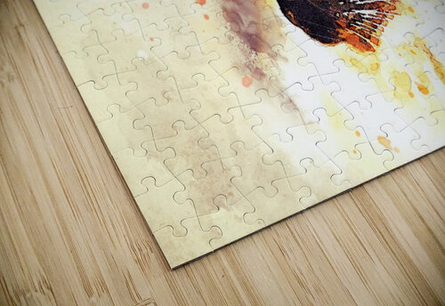 cat 2719594 Stock Photography puzzle