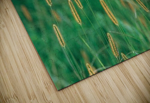 landscape_2_0157 Stock Photography puzzle