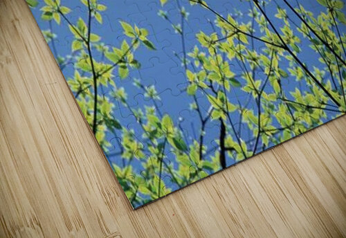 landscape_2_0164 Stock Photography puzzle