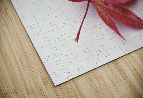 landscape_2_0422 Stock Photography puzzle