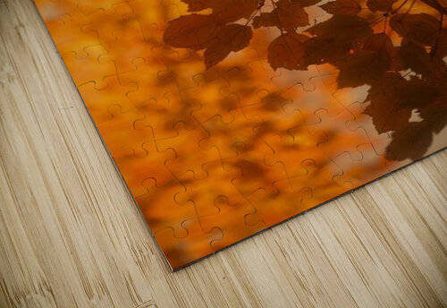landscape_2_0428 Stock Photography puzzle