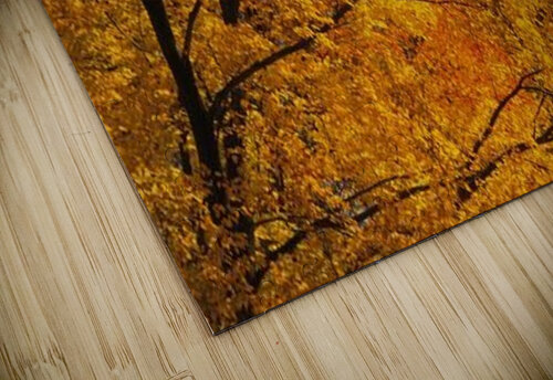 landscape_2_0438 Stock Photography puzzle