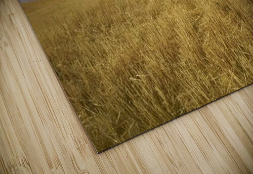 landscape_2_0577 Stock Photography puzzle