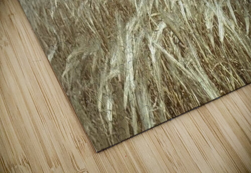 landscape_2_0600 Stock Photography puzzle