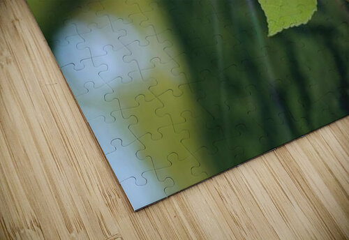 landscape_2_0964 Stock Photography puzzle