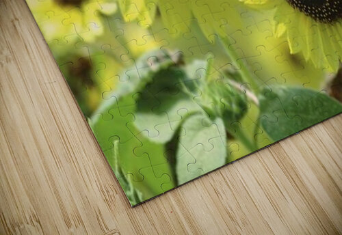landscape_2_0976 Stock Photography puzzle