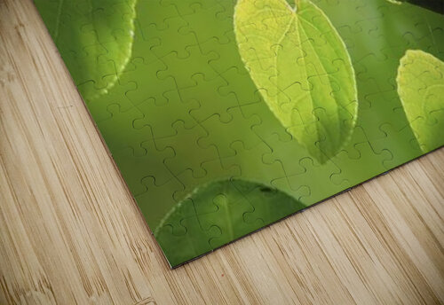 landscape_2_0989 Stock Photography puzzle