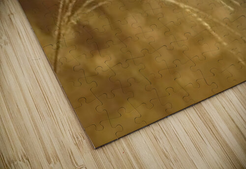 landscape_2_1023 Stock Photography puzzle