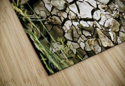 landscape_2_1104 Stock Photography puzzle