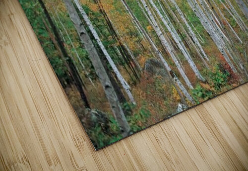 landscape_2_1127 Stock Photography puzzle
