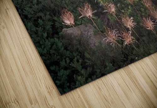 landscape_2_1140 Stock Photography puzzle