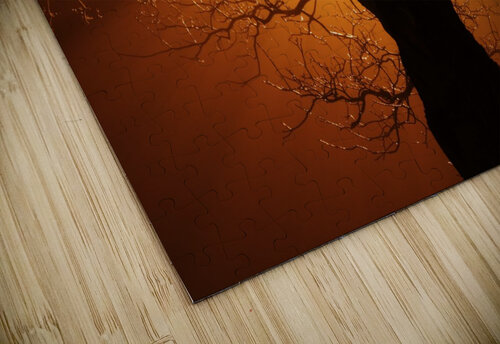 abstract sun tree STOCK PHOTOGRAPHY puzzle