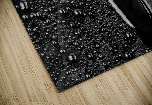 Men Rain Close Up Wet Clear Print Step Foot STOCK PHOTOGRAPHY puzzle