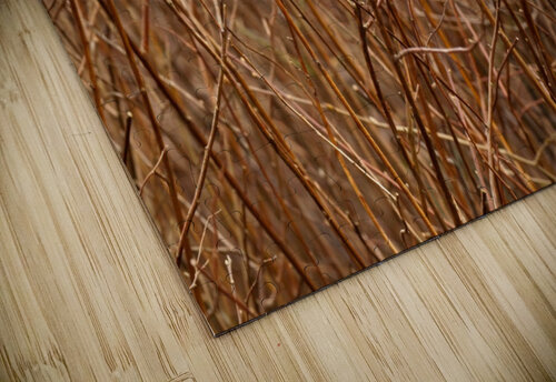 Abstract Background Branch Brown Color Flora STOCK PHOTOGRAPHY puzzle