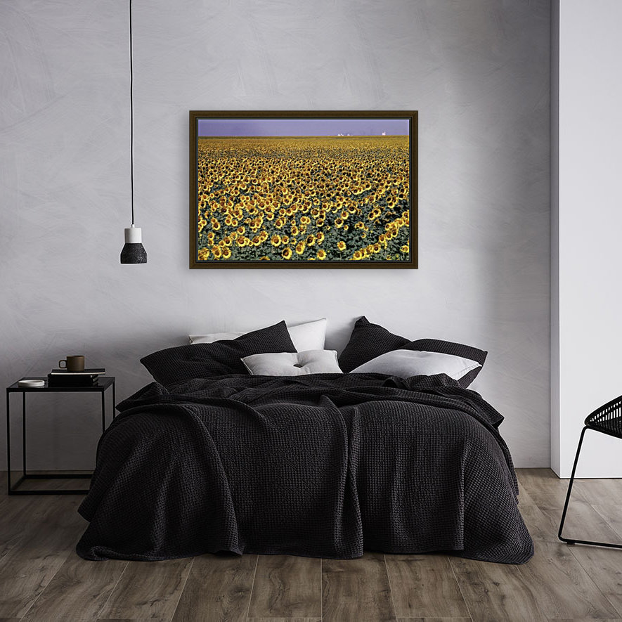 landscape_2_0565 Reproduction